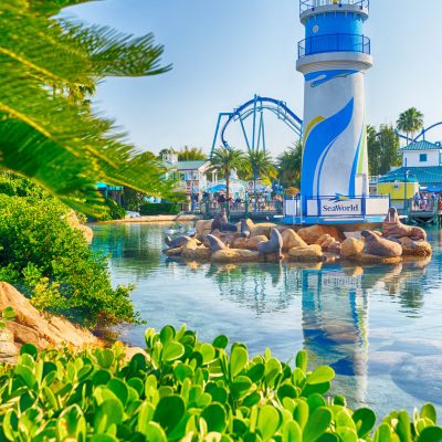 SeaWorld Orlando Entrance