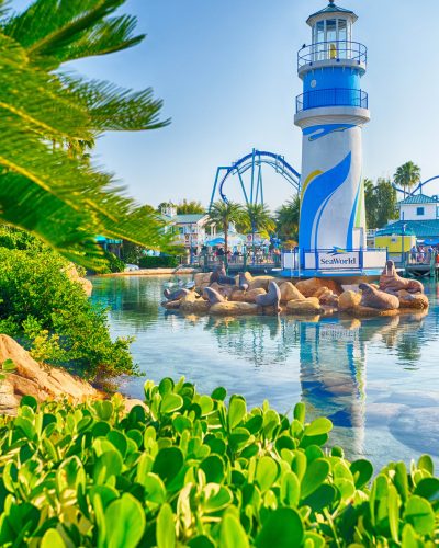 SeaWorld Orlando Entrance